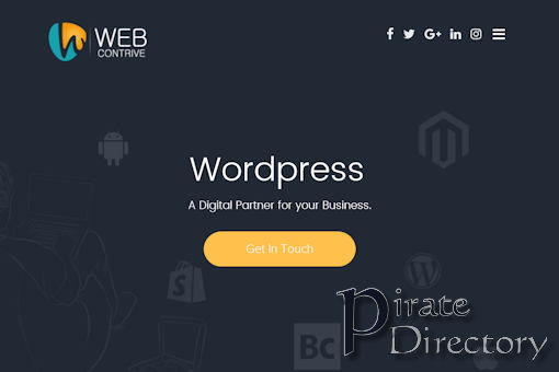 Website preview for: Webcontrive