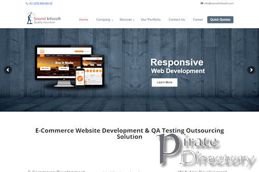 Website preview for: Saanvi Infosoft