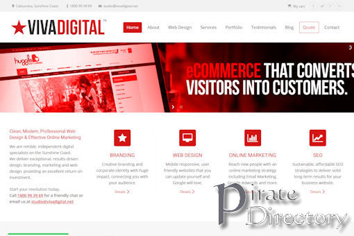 Website preview for: Viva Digital