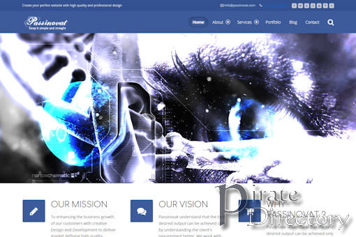 Website preview for: Passinovat