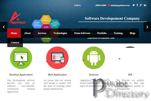 Website preview for: Appinfosol