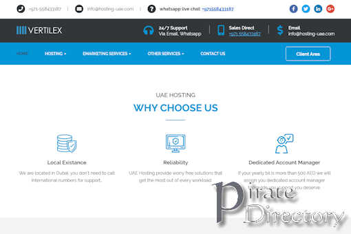Website preview for: Hosting UAE