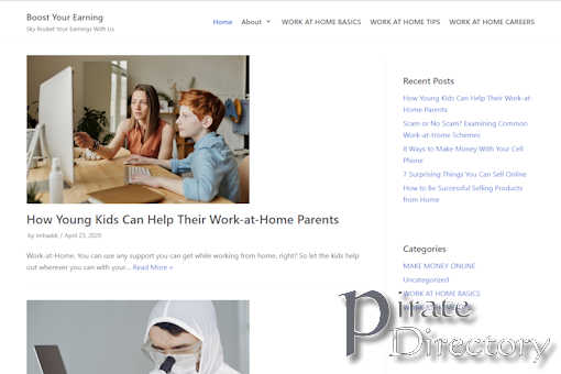 Website preview for: Boost Your Earning