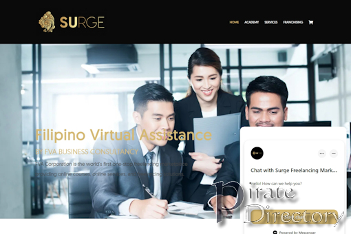 Website preview for: FVA Consultancy